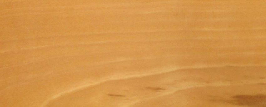 Beech veneer