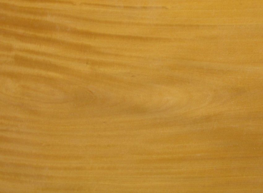 Zitrone (Satin Wood) Furnier