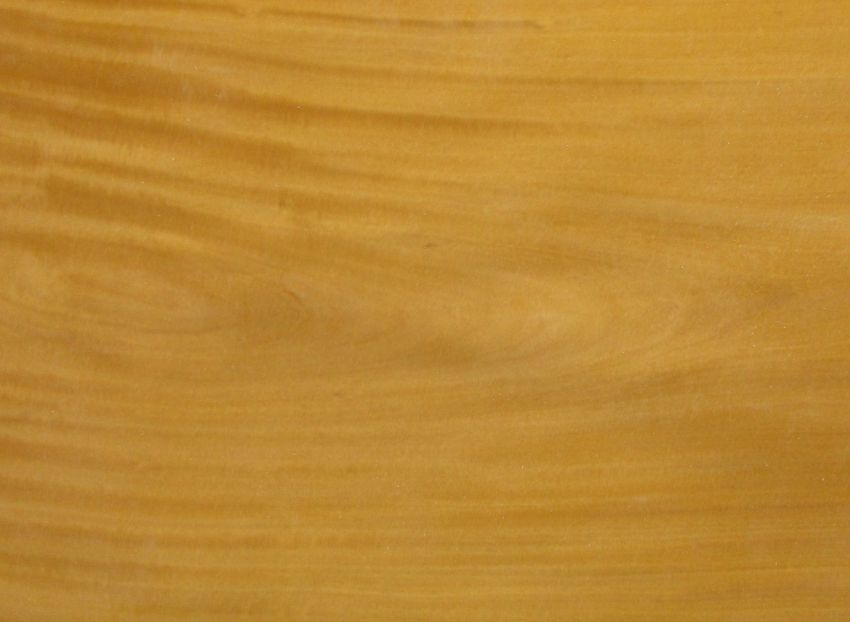 Satin Wood veneer