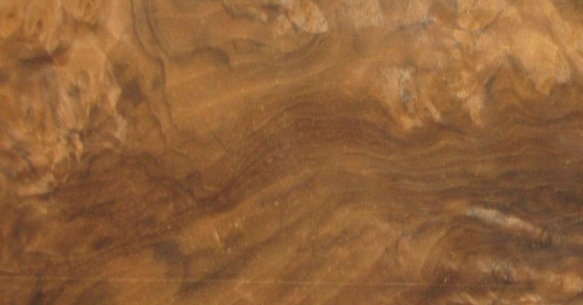 Walnut Burl veneer