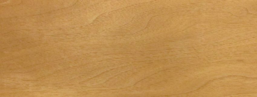 Walnut europ. Sapwood veneer