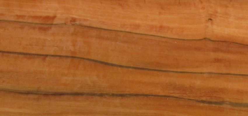 Apfel Indisch (Tineo) Furnier