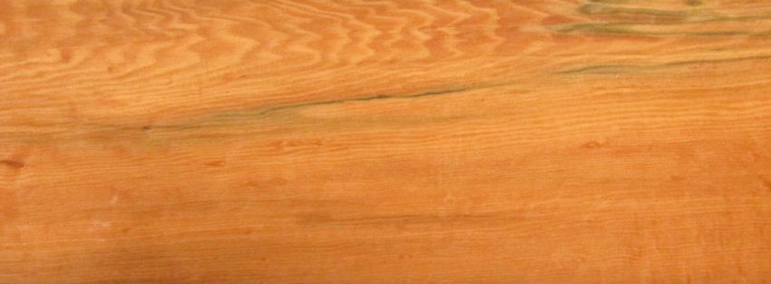 Tineo veneer