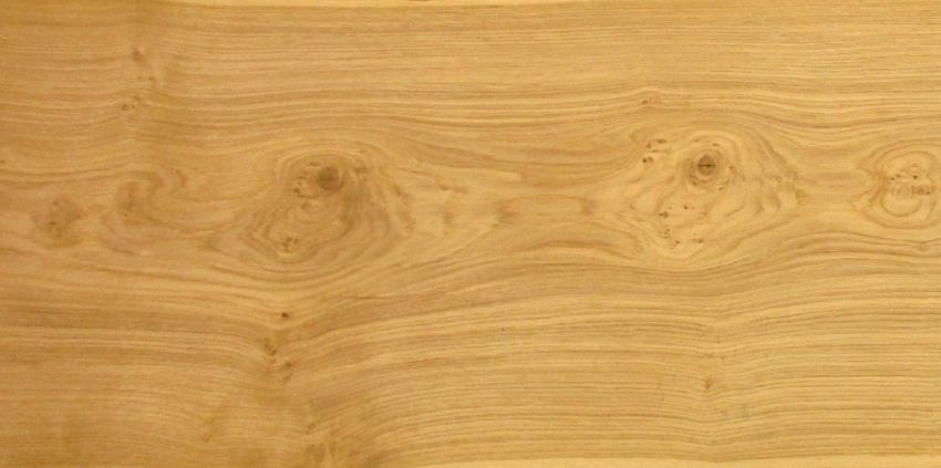 Oak knotty veneer
