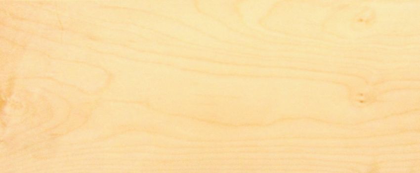 Sycomore (europ. Maple) veneer