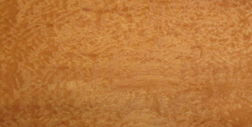 Mahagoni ((Pommele)) Furnier