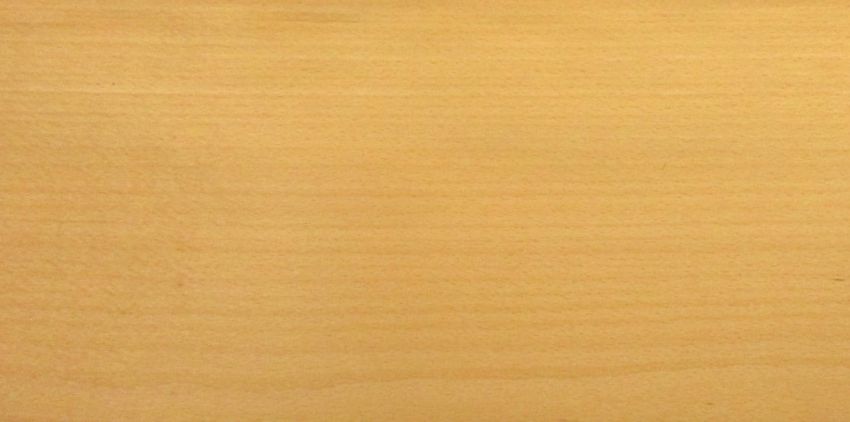 Beech veneer