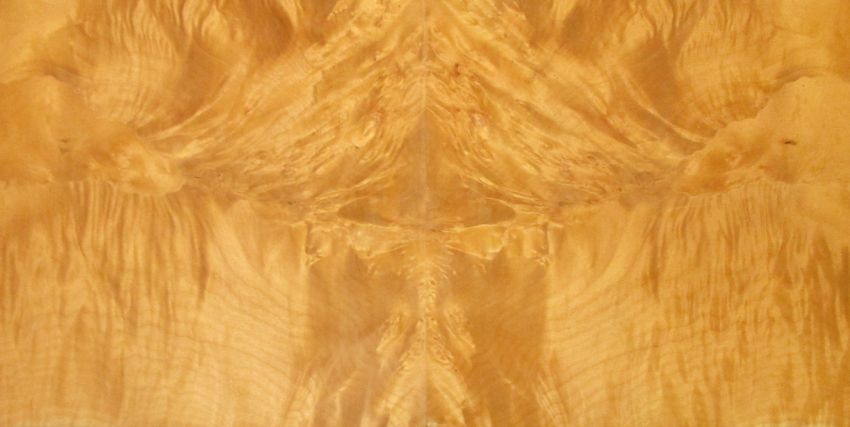 Sycomore burl veneer