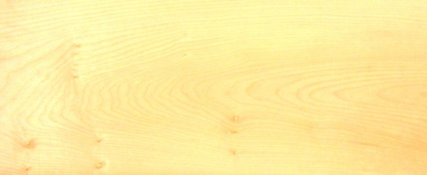 Sycomore (europ. Maple) veneer