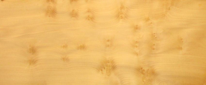 Ahorn Maser (Knoten) Furnier