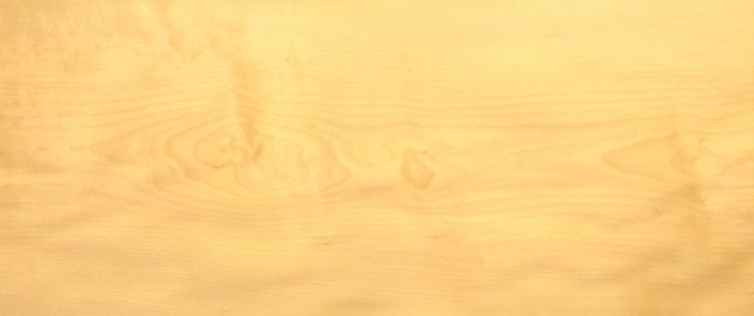 Sycomore (europ. Maple) veneer