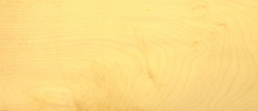 Sycomore (europ. Maple) veneer