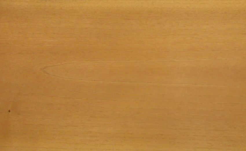 Nussbaum europ. Splint Furnier
