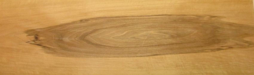 Walnut europ.  veneer