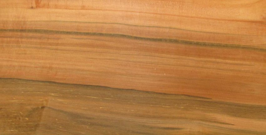 Tineo veneer