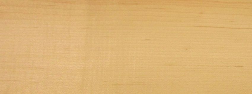 Maple (Hard Maple) veneer