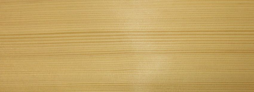 Fir veneer