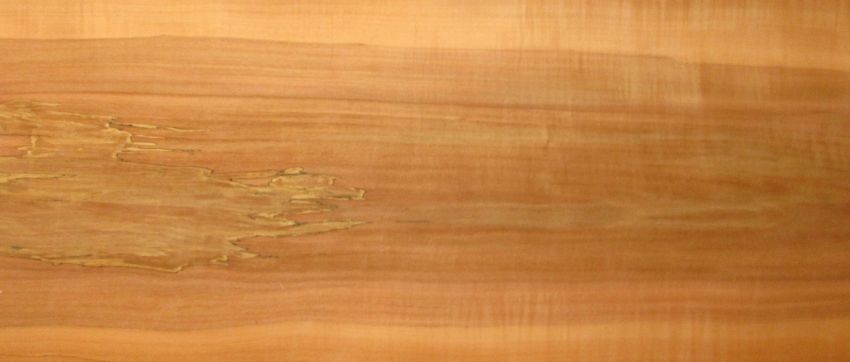 Apple veneer